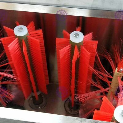 5 Gallonen-Fass-halb Selbstentkröner-Bürsten-Waschmaschinen-Maschine mit doppelter Station fournisseur